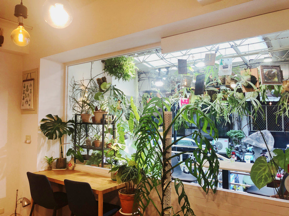 嶼人Café 隱藏在松山巷弄中的蔬食無麩質寵物友善咖啡廳 造訪必吃名不虛傳的貓飯及可遇不可求的限量甜點 - 第7張圖 嶼人Café