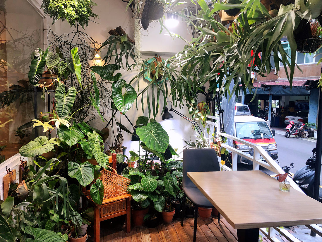 嶼人Café 隱藏在松山巷弄中的蔬食無麩質寵物友善咖啡廳 造訪必吃名不虛傳的貓飯及可遇不可求的限量甜點 - 第5張圖 嶼人Café